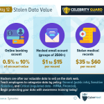 Unlocking the Secrets of Stolen Data Value: Safeguarding Your Digital Assets